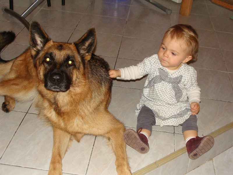 briska et alyzée