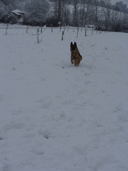 briska et la neige